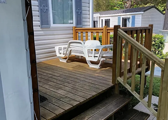 Mh 329 Bois Dormant Saint-Jean-de-Monts