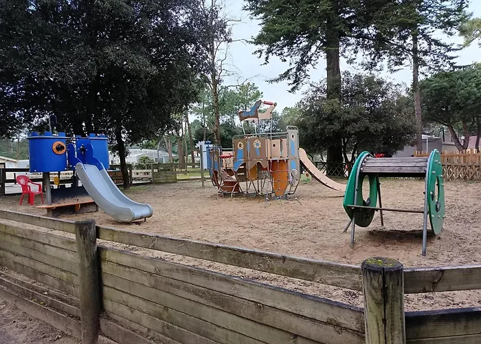 Mh 329 Bois Dormant Saint-Jean-de-Monts